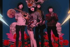 大鲨鱼视频,揭秘海洋霸主的生活奥秘