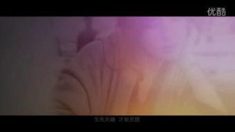 一级视频片,揭秘XX领域的震撼瞬间